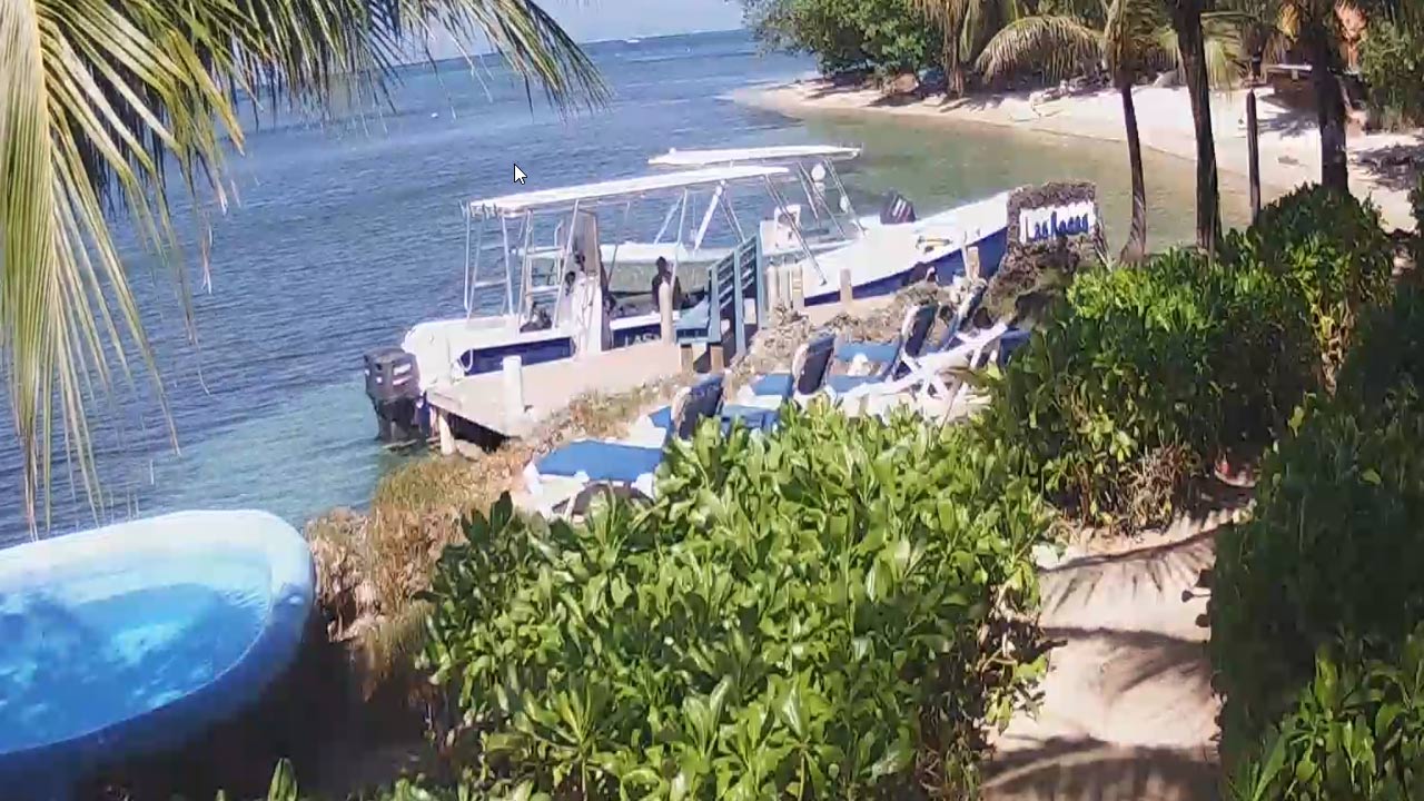 DAL VIVO @ Honduras – Lungomare di West Bay Beach a Roatán