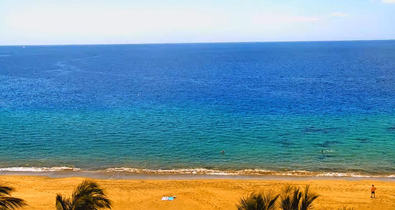 DAL VIVO @ Spiaggia di Puerto del Carmen sull’isola di Lanzarote – Canarie