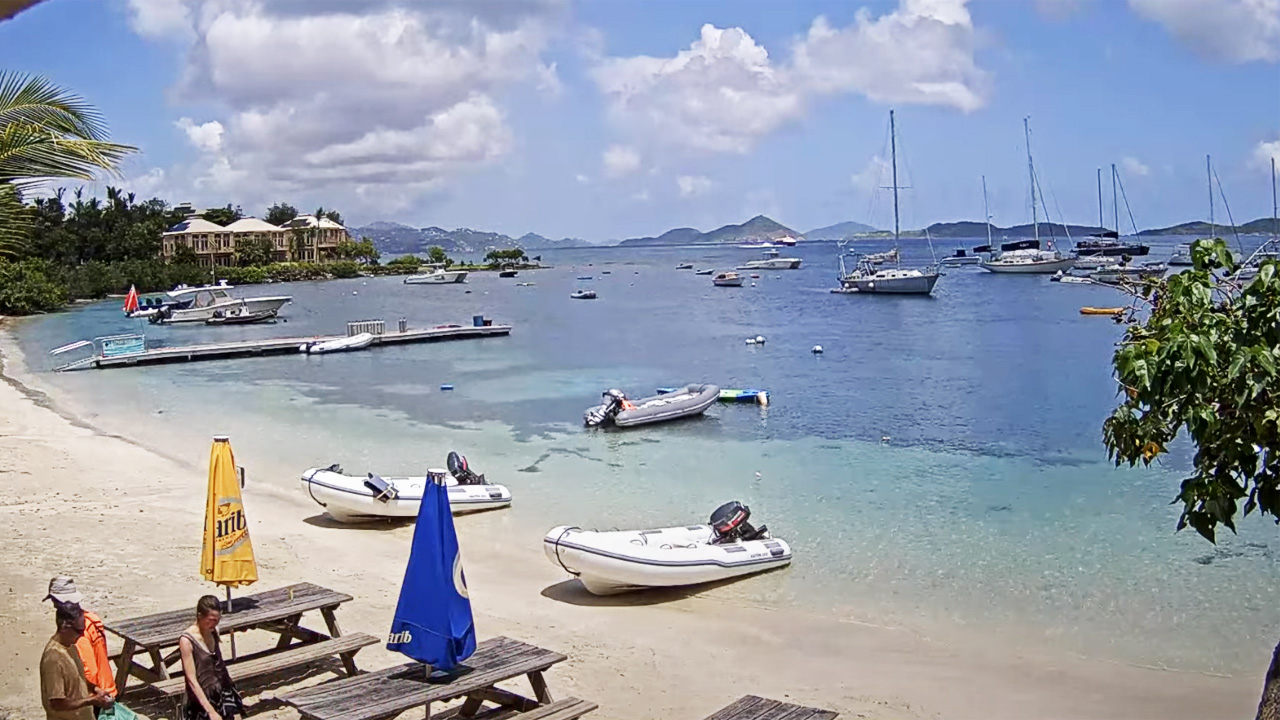 DAL VIVO @ Isole Vergini – Cruz Bay sull’isola caraibica di Saint John