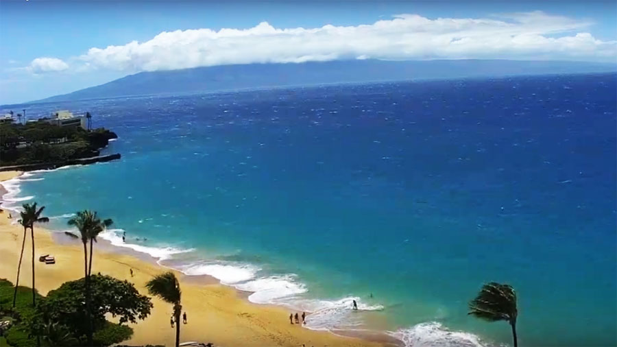 DAL VIVO @ Kaanapali Beach – isola di Maui – Hawaii