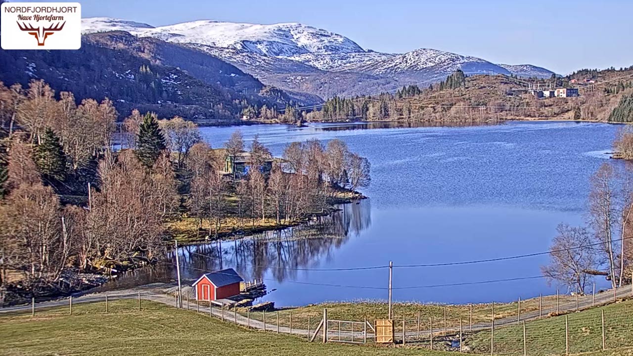 DAL VIVO @ Lago Navevatnet – Norvegia